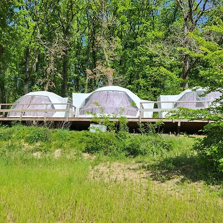 Domaine De Massoulac * Molières