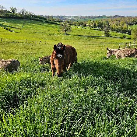 Domaine De Massoulac * Molières