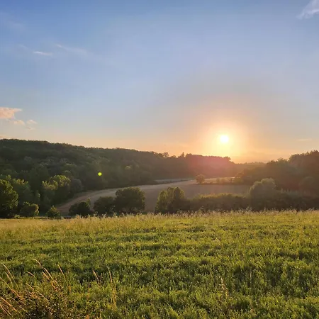 Domaine De Massoulac Prázdninový dům Molières