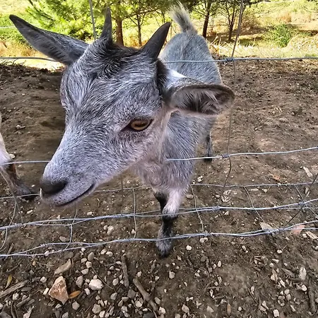 Prázdninový dům Domaine De Massoulac *