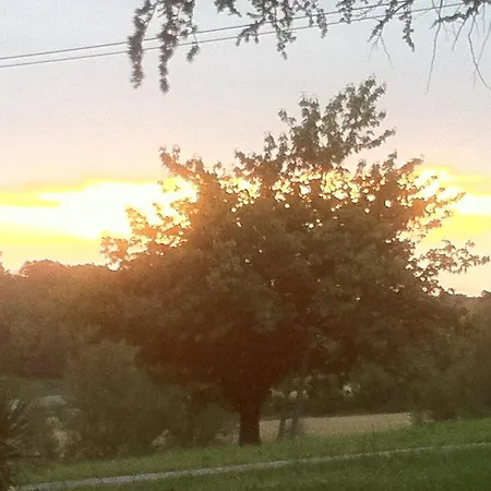 Domaine De Massoulac