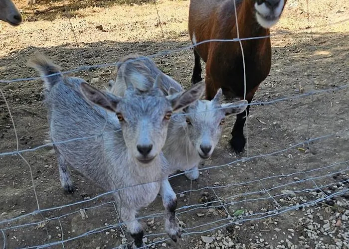 Hébergement de vacances Domaine De Massoulac *