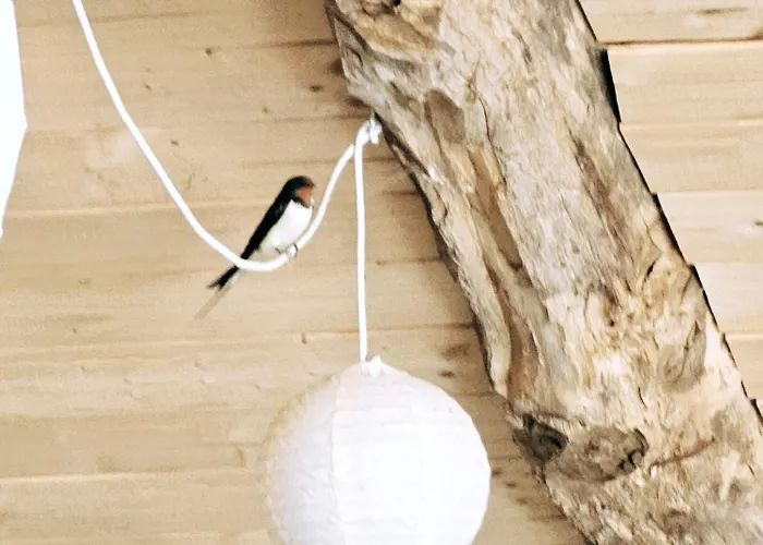 Domaine De Massoulac Hébergement de vacances *