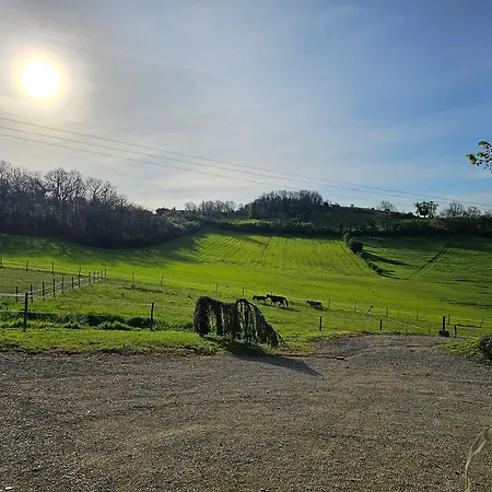 Domaine De Massoulac
