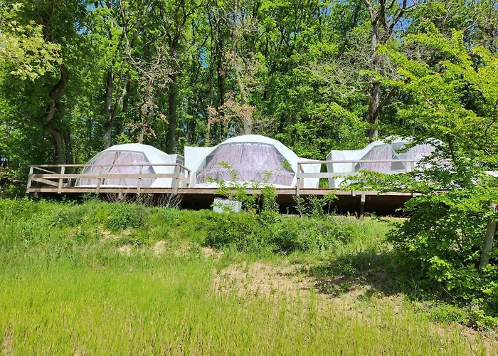 Domaine De Massoulac * Molières