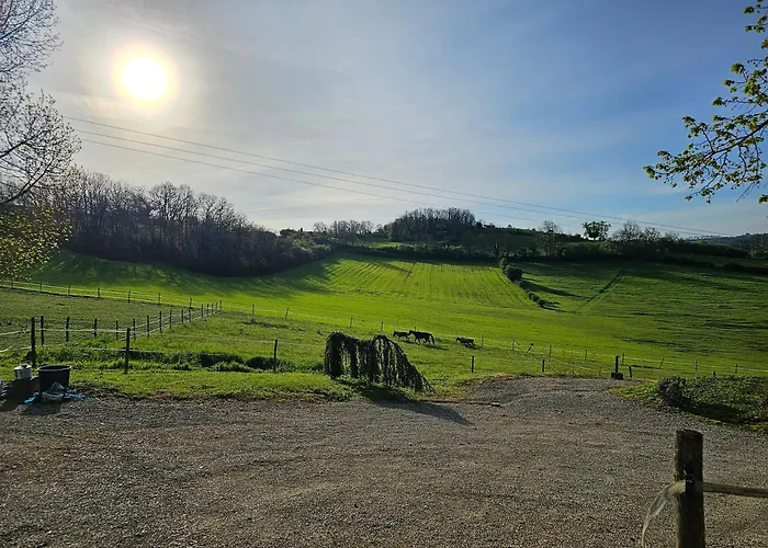 Domaine De Massoulac