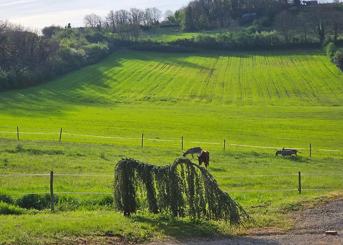 Domaine De Massoulac 別荘 *