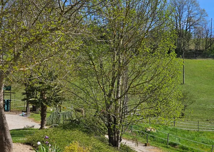 Domaine De Massoulac